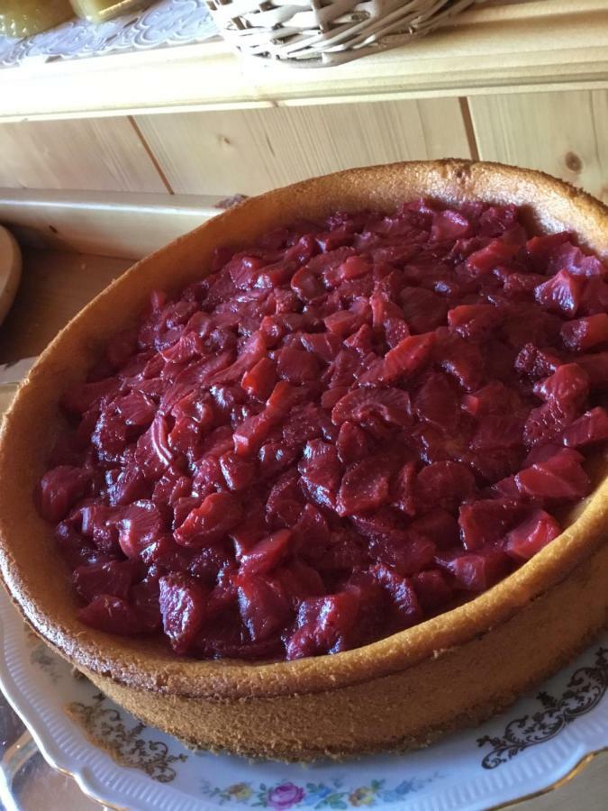 B&B Solder Chalet Dolomiti Sappada Zewnętrze zdjęcie